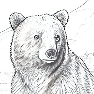 Brown Bear Coloring Pages - Animal Coloring Book